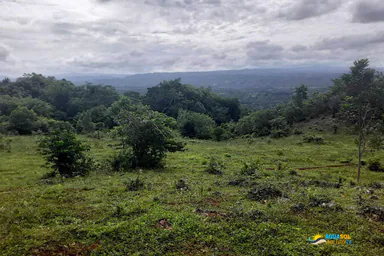 Finca Sabaneta de Yásica, Cabarete, 1 of 2