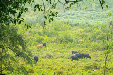 Finca for sale in Sosua, Sosúa, 1 of 10