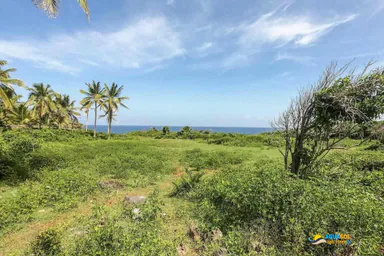 For sale lot oceanfront n Samana, Samaná, 1 of 2