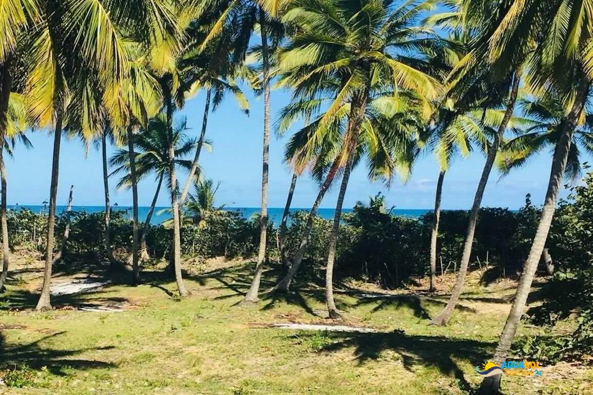Lot oceanbeach for sale in Cabarete, view 1 of 4