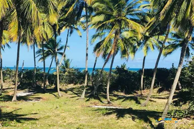 Lot oceanbeach for sale in Cabarete, Cabarete, 1 of 4
