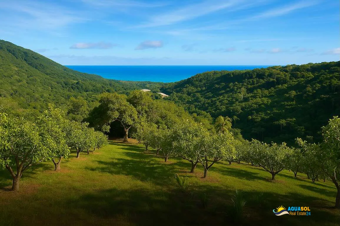 Farm for sale Dominican Republic, view 1 of 6
