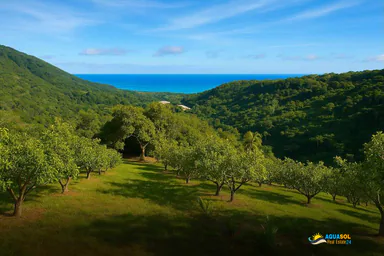 Farm for sale Dominican Republic, Dominican Republic, 1 of 6