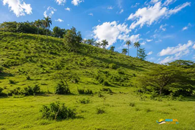 Farm for Sale in Sabaneta, Near Cabarete, Cabarete, 1 of 6