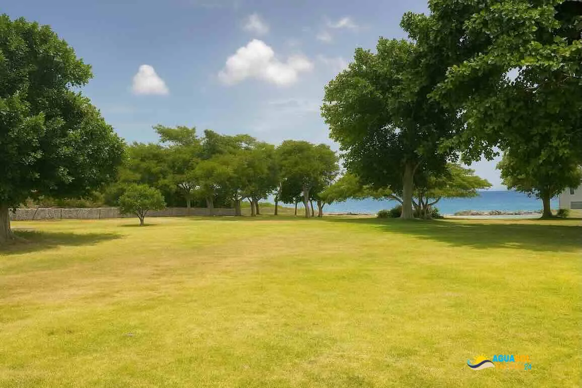 Oceanfront Land for Sale in Rio San Juan, view 1 of 4
