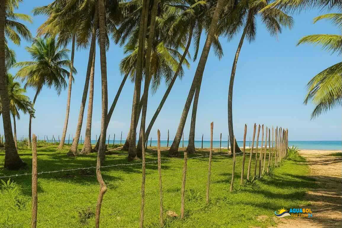 Oceanfront Land for Sale in Cabrera, view 1 of 1