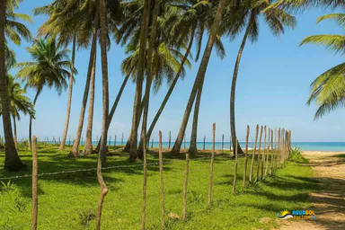 Oceanfront Land for Sale in Cabrera, Cabrera, 1 of 1