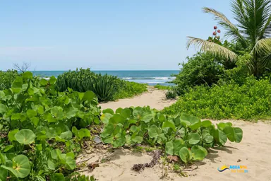 Oceanfront Land for Sale in La Boca, Cabarete, 1 of 2