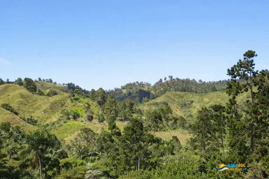 Finca for Sale in El Naranjito, Samaná, Samaná, 1 of 2