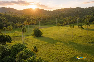 Lot for Sale Near Caleton Beach, North Coast Dominican Republic, 1 of 3