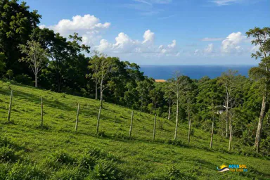 Land for Sale Near Playa Grande Río San Juan, Río San Juan, 1 of 3