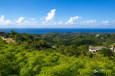 Ocean View Land for Sale in Las Terrenas, Las Terrenas, 1 of 3