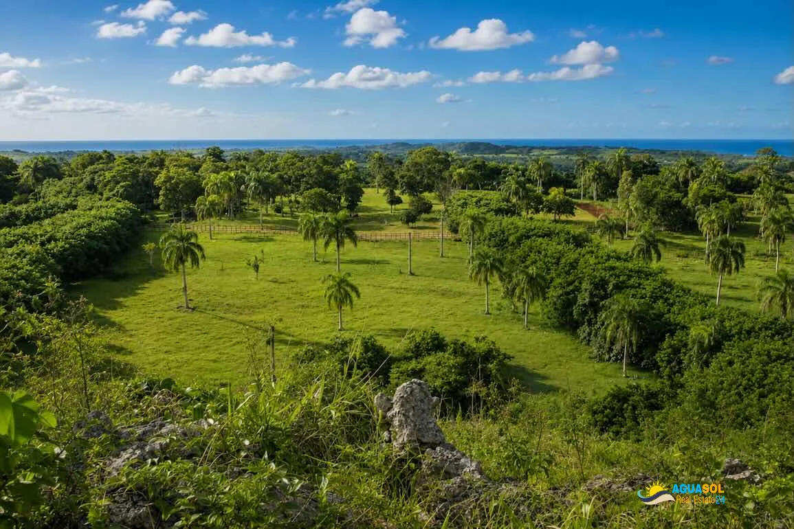 Farmland for Sale in Abreu Dominican Republic, view 1 of 6