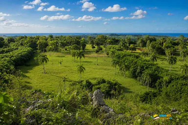Farmland for Sale in Abreu Dominican Republic, Abreu, 1 of 6