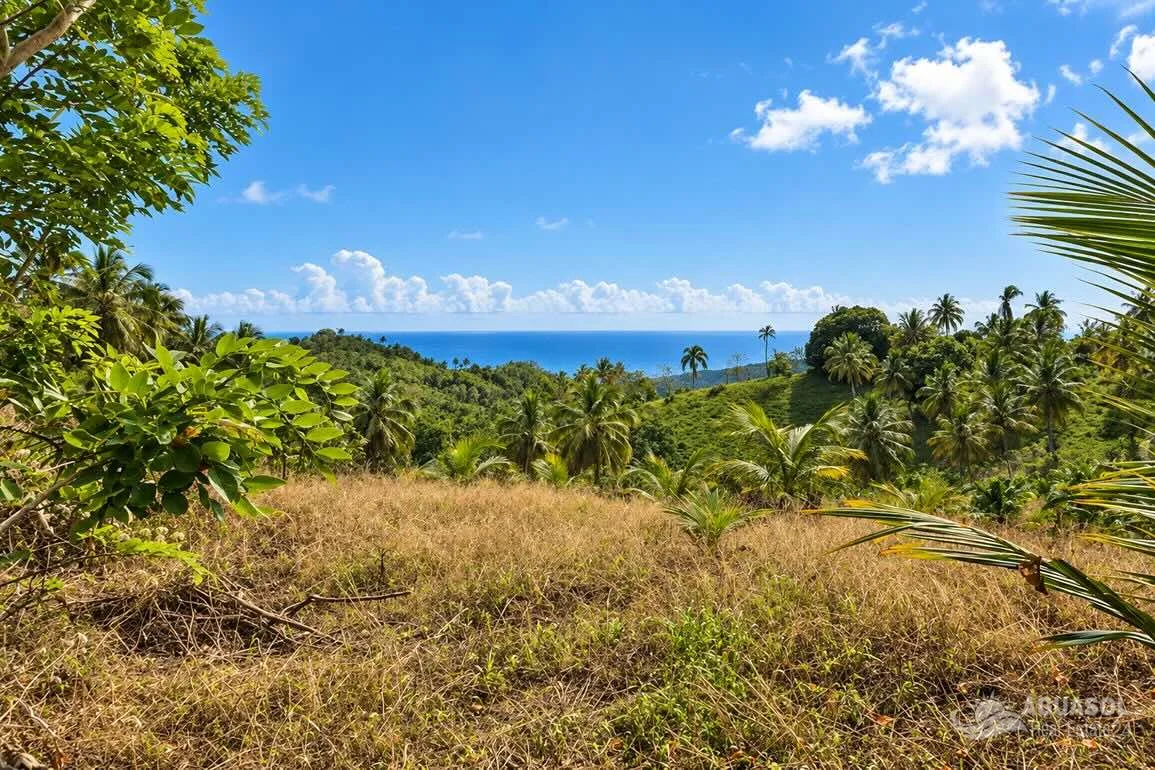 50,000 m² Ocean View Land for Sale in Samaná | Aguasol24 - photo 4