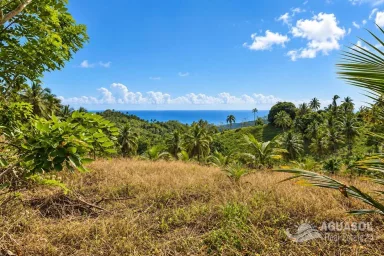50,000 m² Ocean View Land for Sale in Samaná | Aguasol24, Las Terrenas, 1 of 6