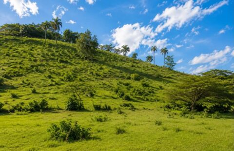 Farm for Sale in Sabaneta, Near Cabarete