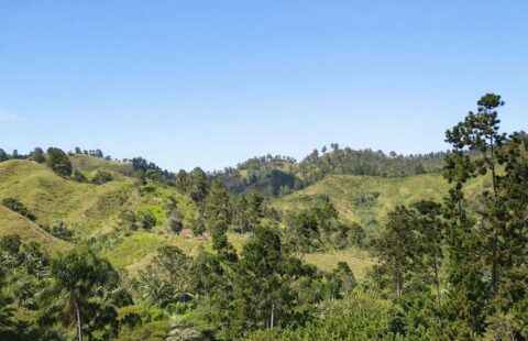 Finca for Sale in El Naranjito, Samaná ID 22980