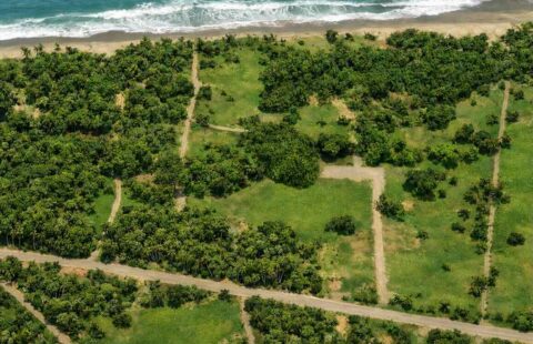 Land for Sale in Las Canas Beach ID 22930