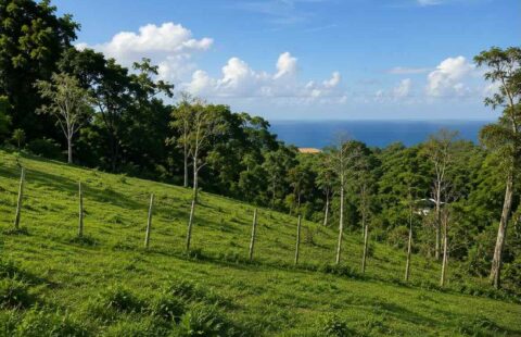 Land for Sale Near Playa Grande Río San Juan