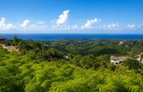 Ocean View Land for Sale in Las Terrenas