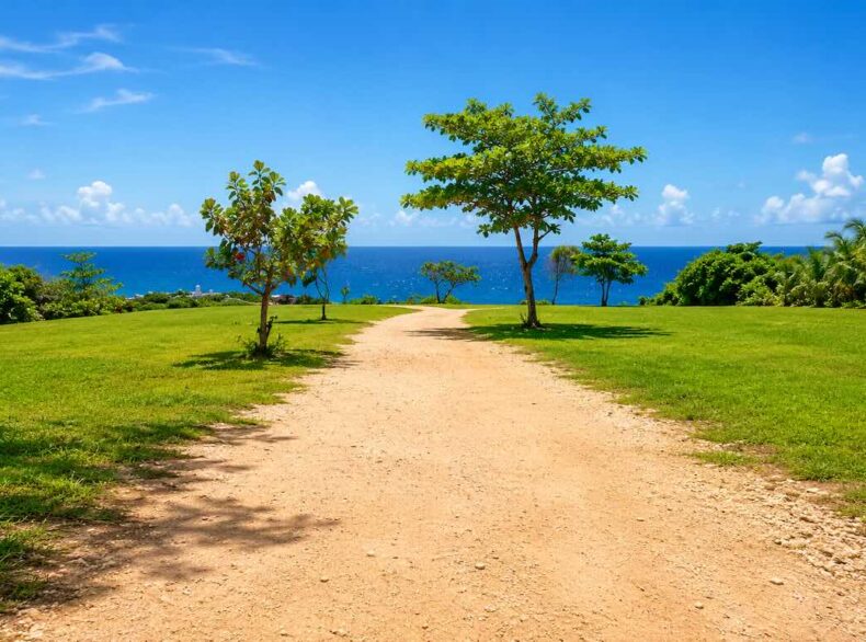 Oceanfront Lots for Sale in Cabrera