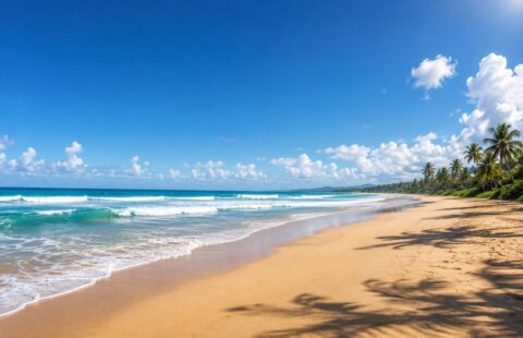 Beachfront Lot for Sale in Sabaneta