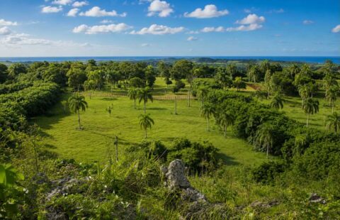 Farmland for Sale in Abreu Dominican Republic